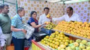 Mango Prices in Karnataka Fall Despite Late Harvest, Lower Yield