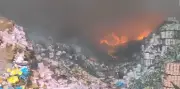 Massive Fire Breaks Out at Warehouse in Delhi, No Casualties Reported