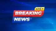 Massive Fire in Delhi's Vivek Vihar: 4 Dead, Over 10 Rescued