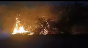 Massive Wildfire in Jaisalmer Devours Thousands of Acres of Forest Land