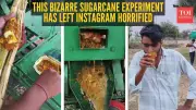 Matar Paneer Sugarcane Juice: Viral Video Sparks Food Horror