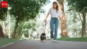 Micro Walks: Short Bursts of Walking That Boost Health