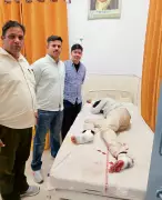 Miscreant Arrested After Exchange of Fire in Ladwa, Haryana