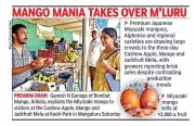 Miyazaki Mangoes Steal the Show at Three-Day Mela in Mangaluru