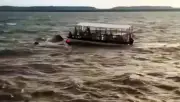 MP Boat Tragedy: 4 Dead, 17 Missing After Cruise Capsizes in Storm