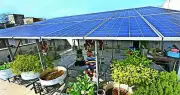MSEDCL Clarifies Grid Support Charges Apply Only to 2.5% of Residential Solar Users