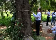 Mumbai Tree Census Begins After 8 Years, 64 Teams Deployed