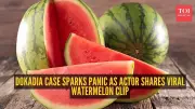 Mumbai Watermelon Tragedy Sparks Fear: Fermentation, Not Chemicals, Likely Cause of Fizz