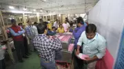 Municipal Council Election Results 2026: Key Wins in Punjab's Urban Local Bodies