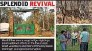 Murdoli Transforms from Conflict Zone to Thriving Tiger Habitat and Safari Destination