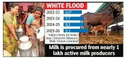 Mysuru Milk Union Records Record 9.3 Lakh Litres Daily Procurement in April