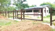 Mysuru's Budipadaga Elephant Camp Lies Vacant After Rs 2 Crore Investment