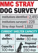 Nagpur Survey Reveals 1,882 Stray Dogs in Public Institutions, No Shelter Space Available