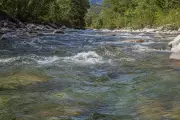 Nashik River-Linking Project Seeks Forest, Environment Clearances