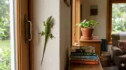 Natural Pest Control Remedies for Lizard-Free Apartments This Summer