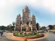 Nature Lovers Complain to BMC About Tree Cutting in Powai Redevelopment