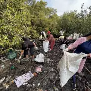 Navi Mumbai Mangrove Cleanup Completes 300 Weeks, Mayor to Join