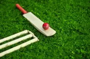 Net Bowlers: Unseen Architects of IPL Batting Fireworks