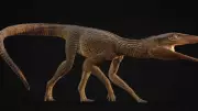 New Ancient Crocodile Relative Discovered in Britain Was a Fast Land Predator