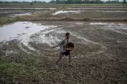 New App Lets Farmers Book Fertiliser via Mobile in Pilot Project