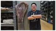New Dinosaur Species Nagatitan Chaiyaphumensis Discovered in Thailand