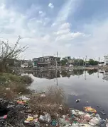 NGT forms panel to probe environmental violations by Faridabad electroplating units