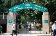NGT Issues Notice to Five Punjab Deputy Commissioners Over Land Demarcation