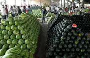 No Adulteration Found in Watermelon Samples in Chandigarh: Food Safety Officials