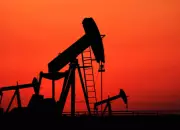 No Govt Financial Support for Fuel Retailers on Losses from Petrol, Diesel Sales