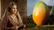Noorjahan Mango: The Queen of Mangoes Sold at Rs 1000 Each