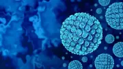 Norovirus Outbreak Hits Caribbean Princess Cruise Ship, Over 100 Sick