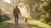 NY Techie Earns Rs 5.72 Lakh/Month Walking Dogs as Side Business