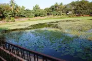 Old drainage rediscovered under Dharwad lake park offers revival hope