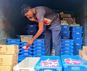 Omfed Hikes Milk Prices by Rs 4 per Litre from Sunday