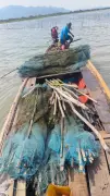 Over 2,400 Acres of Illegal Prawn Gheries Evicted from Chilika Lake