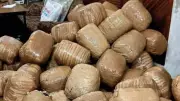 Patna Police Seize 2 kg Ganja, Rs 3.31 Lakh in Raid at Khagaul