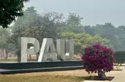 PAU Products to Be Available at One-Stop Centre in Ludhiana