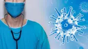 Peacock Deaths in Karnataka Spark Bird Flu Alert, Human Risk Assessed