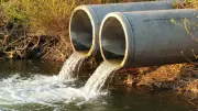 Poliovirus Detected in Perth Wastewater, Low Risk to Public