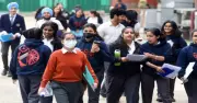 PSEB 12th Result 2026 Live: Class 12 Scorecards Released Today at pseb.ac.in