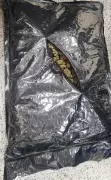 Pune Rural Police Bust Inter-State Ganja Network, Seize 634kg