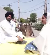 Punjab Cong chief Warring rubbishes CM Mann's 9-seat claim for Congress in 2027