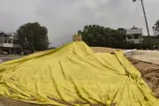 Punjab Haryana Rain Storm Damages Wheat Power Disruption