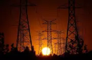 Punjab Power Union Slams PSPCL for Challenging DA Arrears Order in High Court