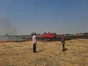 Punjab Records 841 Farm Fires in 24 Hours, Seasonal Tally Nears 8,000