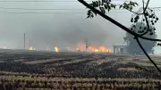Punjab Records 9,452 Stubble Burning Cases This Kharif Season, Ferozepur Worst Hit