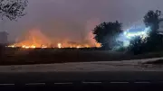 Punjab Records Highest Single-Day Stubble Burning Cases This Season