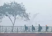 Punjab Records Second Highest Cold Deaths in India in 2024: NCRB