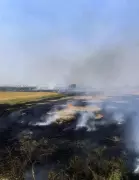 Punjab Reports 294 Farm Fires as Total Crosses 8,200 This Season