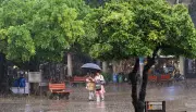 Rain Cools Punjab, Haryana; Wet Spell to Continue Till June 1